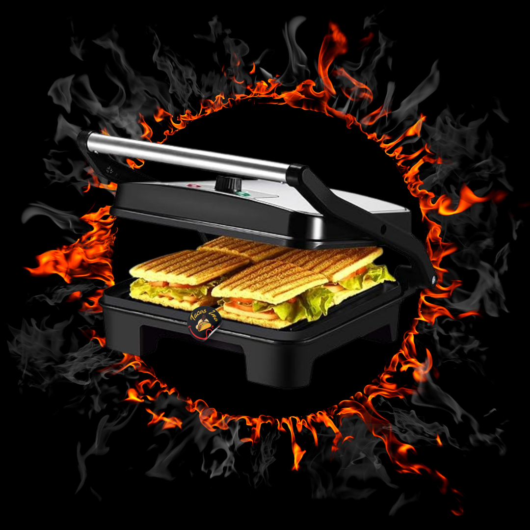 Panini